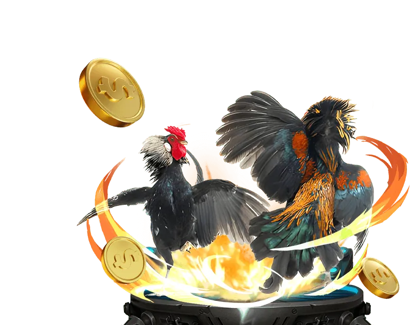 Cá cược bóng rổ 666vn